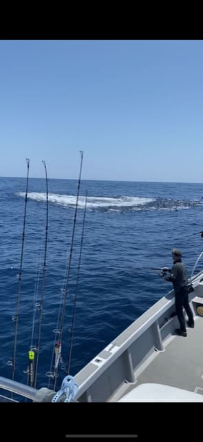 へいみつ丸 釣果
