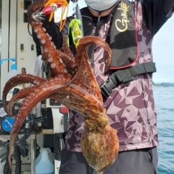 遊漁船 ニライカナイ 釣果