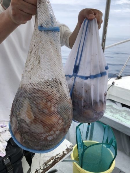 たかみ丸 釣果