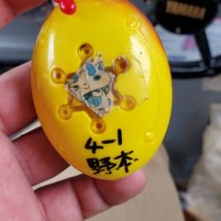 遊漁船 ニライカナイ 釣果