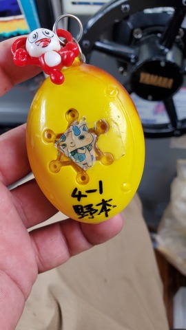 遊漁船 ニライカナイ 釣果