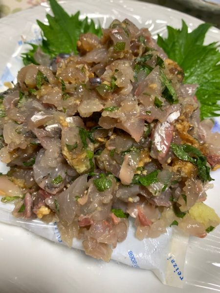 宝昌丸 釣果