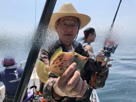 Magic（マジック） 釣果