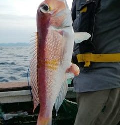 松福丸 釣果