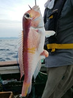 松福丸 釣果