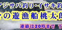 桃太郎丸 釣果