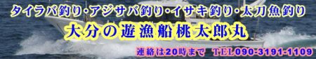 桃太郎丸 釣果