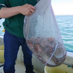 たかみ丸 釣果