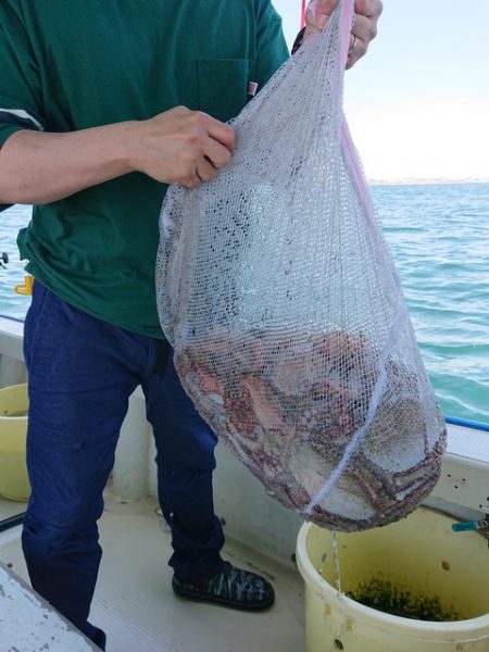 たかみ丸 釣果