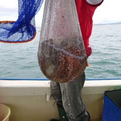 たかみ丸 釣果