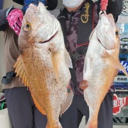 遊漁船 ニライカナイ 釣果