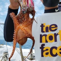 遊漁船 ニライカナイ 釣果