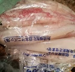松福丸 釣果