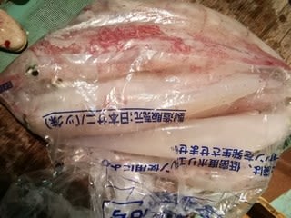 松福丸 釣果