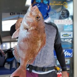 遊漁船 ニライカナイ 釣果