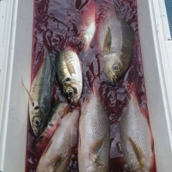 第五慶門丸 釣果