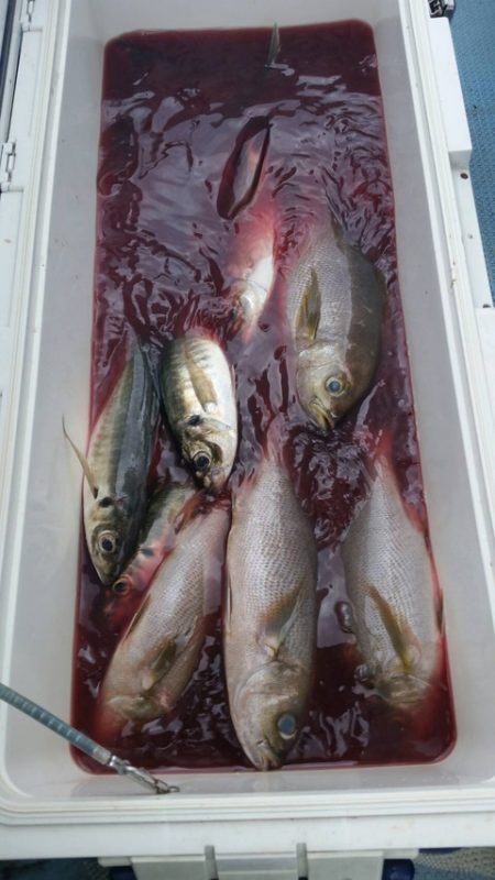 第五慶門丸 釣果