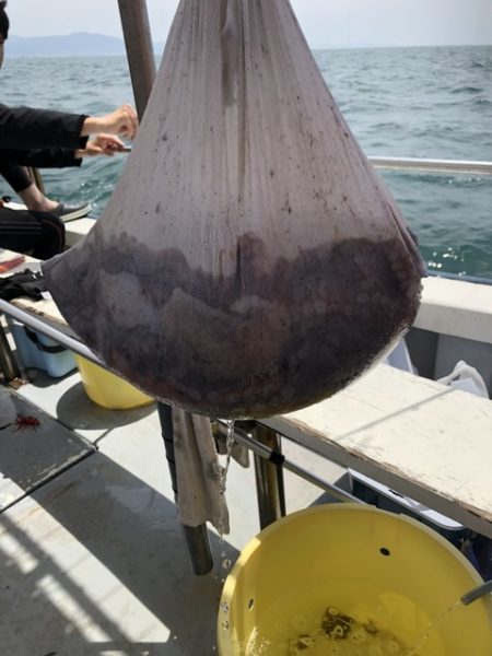 たかみ丸 釣果