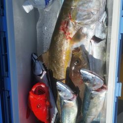 第五慶門丸 釣果