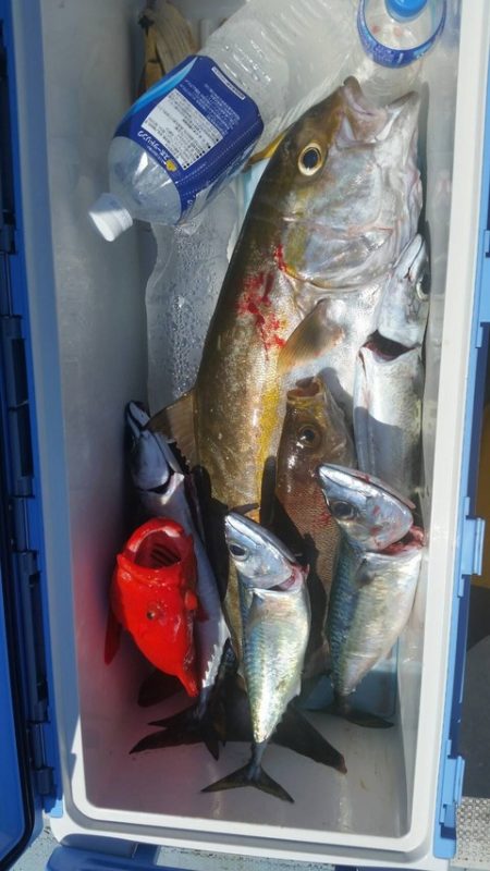 第五慶門丸 釣果