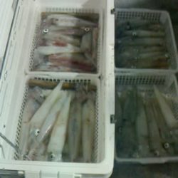 第二大福丸 釣果