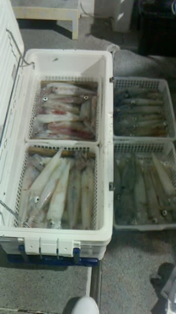 第二大福丸 釣果