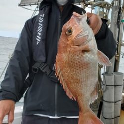 遊漁船 ニライカナイ 釣果