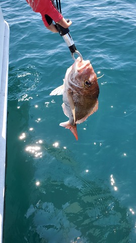 遊漁船 ニライカナイ 釣果