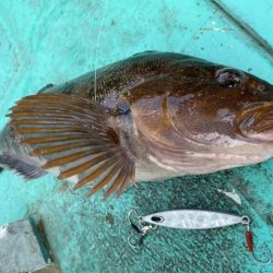 広進丸 釣果