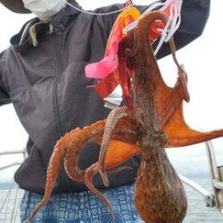 遊漁船 ニライカナイ 釣果