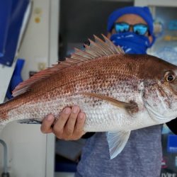 遊漁船 ニライカナイ 釣果