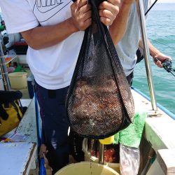 たかみ丸 釣果