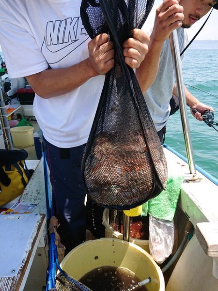 たかみ丸 釣果