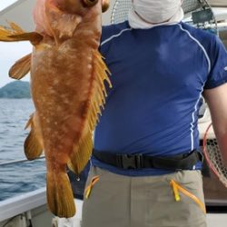 遊漁船 ニライカナイ 釣果