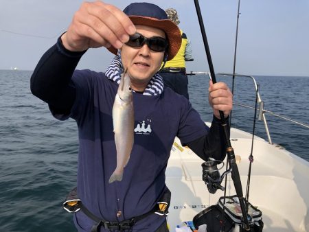 Magic（マジック） 釣果