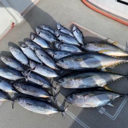 へいみつ丸 釣果