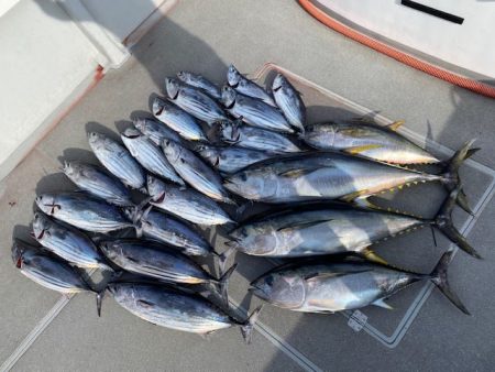 へいみつ丸 釣果