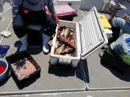 第二大福丸 釣果