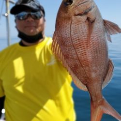 遊漁船 ニライカナイ 釣果