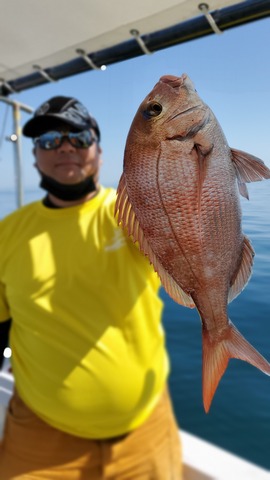 遊漁船 ニライカナイ 釣果