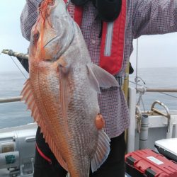 遊漁船 新鋭丸 釣果
