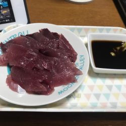 まると屋 釣果