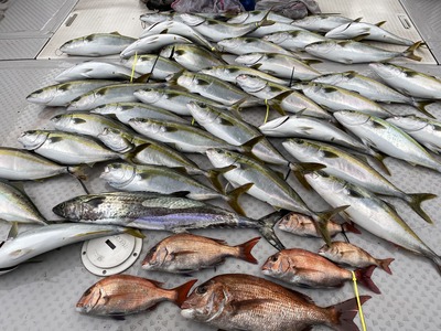ミタチ丸 釣果