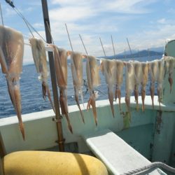 こうゆう丸 釣果