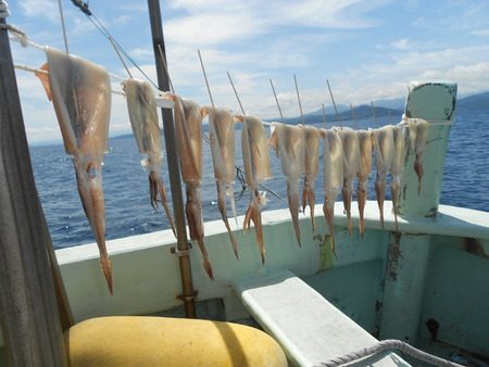 こうゆう丸 釣果