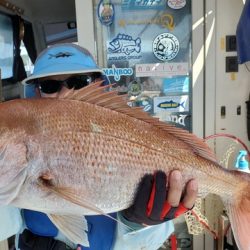 遊漁船 ニライカナイ 釣果