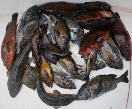 TOPGUN名古屋 釣果