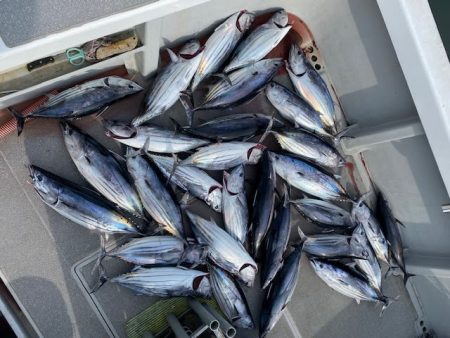 へいみつ丸 釣果