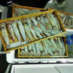 第二大福丸 釣果