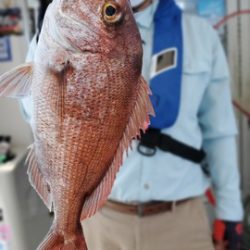 遊漁船 ニライカナイ 釣果